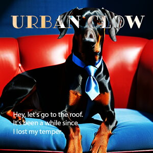 lN^C h[x} \t@   t@bV NbVJo[ 45×45cm Aj}   NbV{̕t ` t@