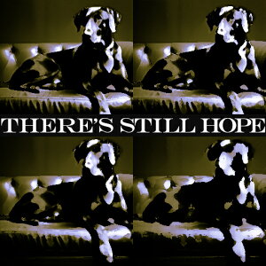 \t@ ̑ ]  NbVJo[ 45×45cm Aj}   NbV{̕t ` t@