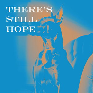 ] ̑ |X^[  A[g[N NbVJo[ 45×45cm Aj}   NbV{̕t ` t@