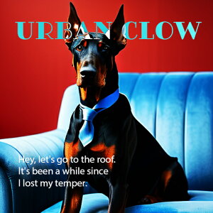 \t@[ h[x} lN^C Ԕwi NbVJo[ 45×45cm Aj}   NbV{̕t ` t@