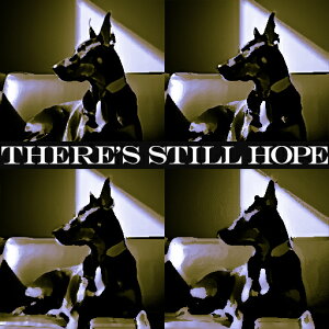 ] h[x}  \t@ CeA ybg NbVJo[ 45×45cm Aj}   NbV{̕t ` t@