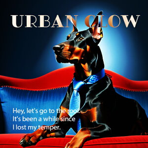 \t@[ h[x} lN^C Cg NbVJo[ 45×45cm Aj}   NbV{̕t ` t@