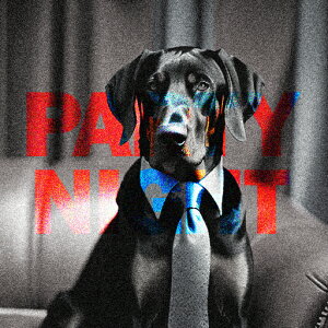 lN^C h[x} \t@ p[eB[iCg NbVJo[ 45×45cm Aj}   NbV{̕t ` t@