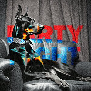 \t@ h[x} J[e p[eB[ NbVJo[ 45×45cm Aj}   NbV{̕t ` t@