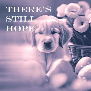  S[fg[o[ oXPbg NbVJo[ 45×45cm Aj}   NbV{̕t ` t@