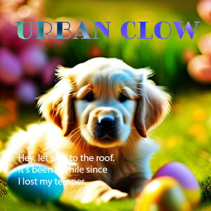  S[fgo[  ΂̔wi eLXg NbVJo[ 45×45cm Aj}   NbV{̕t ` t@