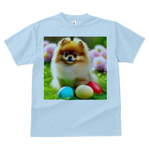 TVc Y LbY t@  t  vg JWA 킢 lԗp tBbglX _X  |jA sN̉ ΂̎Ő