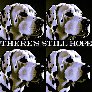 eLXg _VA ܂ |X^[ A[g `[t NbVJo[ 45×45cm Aj}   NbV{̕t ` t@