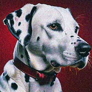 Ԃwi _VA  NbVJo[ 45×45cm Aj}   NbV{̕t ` t@