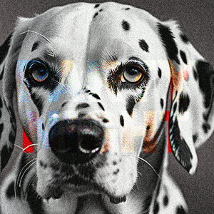  _VA Ob`A[g 􉽊w͗l NbVJo[ 45×45cm Aj}   NbV{̕t ` t@