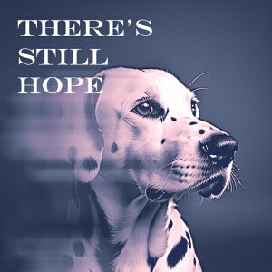 ] _VA |X^[ A[g `x[V NbVJo[ 45×45cm Aj}   NbV{̕t ` t@