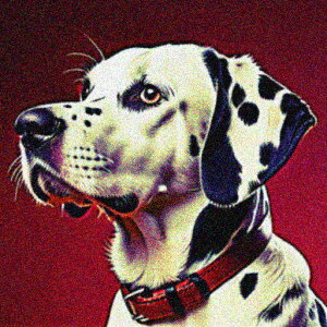 Ԃwi _VA  NbVJo[ 45×45cm Aj}   NbV{̕t ` t@