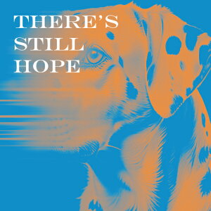 ] _VA A[g |X^[ NbVJo[ 45×45cm Aj}   NbV{̕t ` t@