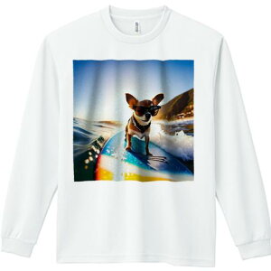 TVc lԗp Y Ht vg W[ AEghA JWA 킢 t@ TOX ` T[t{[h C ̏o