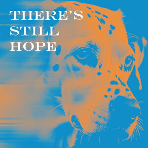 ] _VA |X^[ A[g NbVJo[ 45×45cm Aj}   NbV{̕t ` t@