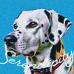 wi _VA Ԃ NbVJo[ 45×45cm Aj}   NbV{̕t ` t@