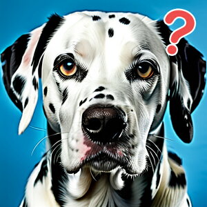 NGX`}[N _VA wi NbVJo[ 45×45cm Aj}   NbV{̕t ` t@