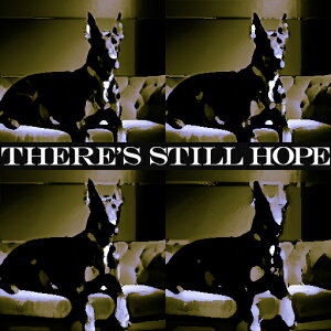 \t@ R[M[ NbVJo[ 45×45cm Aj}   NbV{̕t ` t@