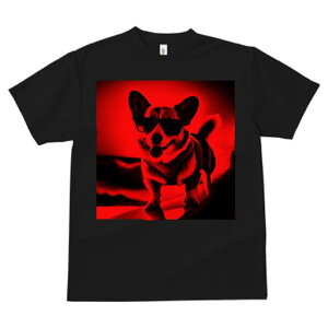 TVc Y LbY t@  t  vg JWA 킢 lԗp tBbglX _X TOX EFVR[M[ T[tB