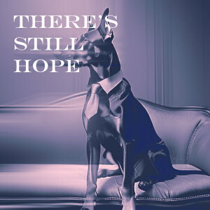 \t@[ h[x} X[cp ] NbVJo[ 45×45cm Aj}   NbV{̕t ` t@