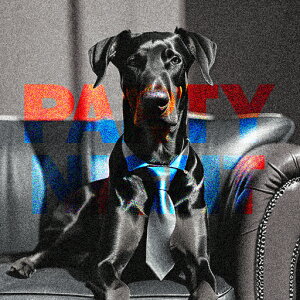 lN^C h[x} \t@ ʐ^ NbVJo[ 45×45cm Aj}   NbV{̕t ` t@