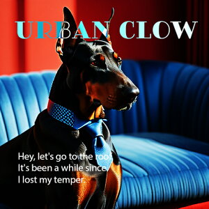 \t@ h[x} lN^C  NbVJo[ 45×45cm Aj}   NbV{̕t ` t@