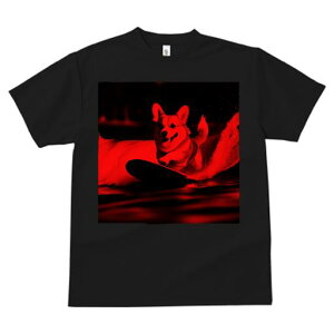 TVc Y LbY t@  t  vg JWA 킢 lԗp tBbglX _X T[tB R[M[ g y `