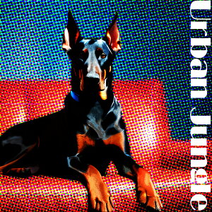 \t@ h[x} A[oWO NbVJo[ 45×45cm Aj}   NbV{̕t ` t@