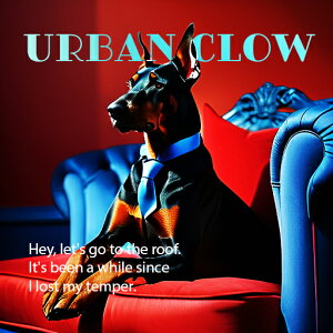 \t@ h[x} lN^C Ck NbVJo[ 45×45cm Aj}   NbV{̕t ` t@