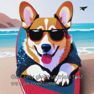 TOX EFVR[M[ T[t{[h r[` C R NbVJo[ 45×45cm Aj}   NbV{̕t ` t@