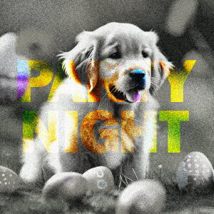  S[fgo[ Ő NbVJo[ 45×45cm Aj}   NbV{̕t ` t@