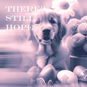  S[fgo[ ʂ  fUC NbVJo[ 45×45cm Aj}   NbV{̕t ` t@