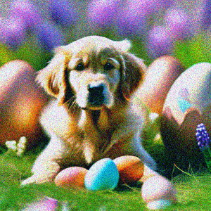  S[fgo[   NbVJo[ 45×45cm Aj}   NbV{̕t ` t@