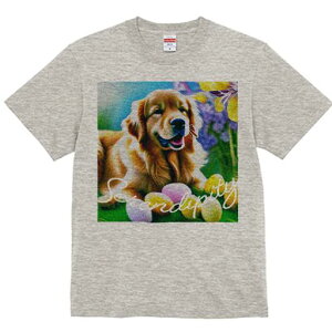 TVc Y LbY t@  t  vg JWA 킢 lԗp tBbglX _X  S[fg[o[ ̉ ΂̑