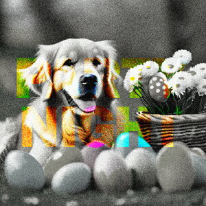  S[fgo[ oXPbg  NbVJo[ 45×45cm Aj}   NbV{̕t ` t@