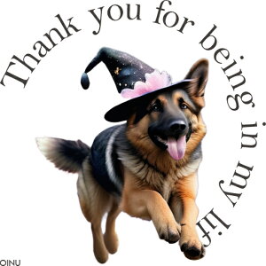 @̖Xq W[}VFp[h nEB   Ί NbVJo[ 45×45cm Aj}   NbV{̕t ` t@