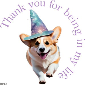 @̖Xq EFVR[M[ NbVJo[ 45×45cm Aj}   NbV{̕t ` t@