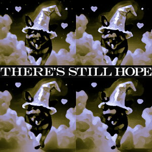 Xq _   NbVJo[ 45×45cm Aj}   NbV{̕t ` t@