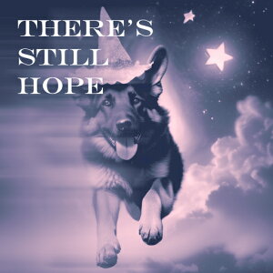  W[}VFp[hhbO _ @̖Xq NbVJo[ 45×45cm Aj}   NbV{̕t ` t@