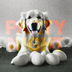 D S[fgo[ p[eB[ NbVJo[ 45×45cm Aj}   NbV{̕t ` t@