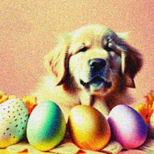  S[fgo[ Jt C[X^[ t NbVJo[ 45×45cm Aj}   NbV{̕t ` t@