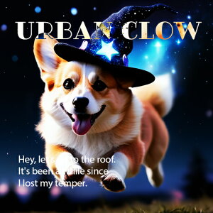 Xq R[M[  @ NbVJo[ 45×45cm Aj}   NbV{̕t ` t@