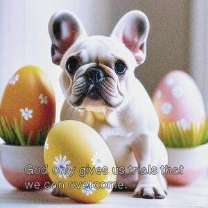 C[X^[GbO t`uhbO  A NbVJo[ 45×45cm Aj}   NbV{̕t ` t@