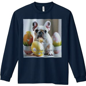 TVc lԗp Y Ht vg W[ AEghA JWA 킢 t@ C[X^[GbO t`uhbO  A