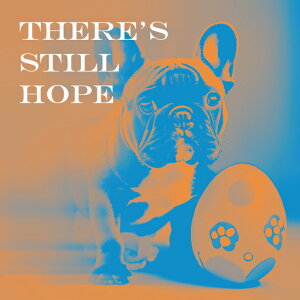  t`uhbO ] y NbVJo[ 45×45cm Aj}   NbV{̕t ` t@