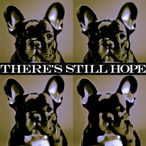 ] t`uhbO  |X^[A[g lp`  NbVJo[ 45×45cm Aj}   NbV{̕t ` t@