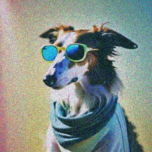 TOX {]C }t[ JtȔwi NbVJo[ 45×45cm Aj}   NbV{̕t ` t@