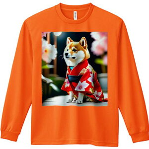 TVc lԗp Y Ht vg W[ AEghA JWA 킢 t@  Č  