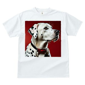 TVc Y LbY t@  t  vg JWA 킢 lԗp tBbglX _X ԐF _VA lN^C 