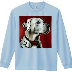 TVc lԗp Y Ht vg W[ AEghA JWA 킢 t@ ԐF _VA lN^C 